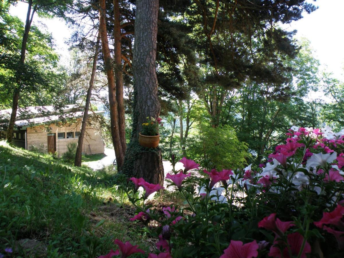 Le Grand Val Bed & Breakfast Lavastrie Dış mekan fotoğraf